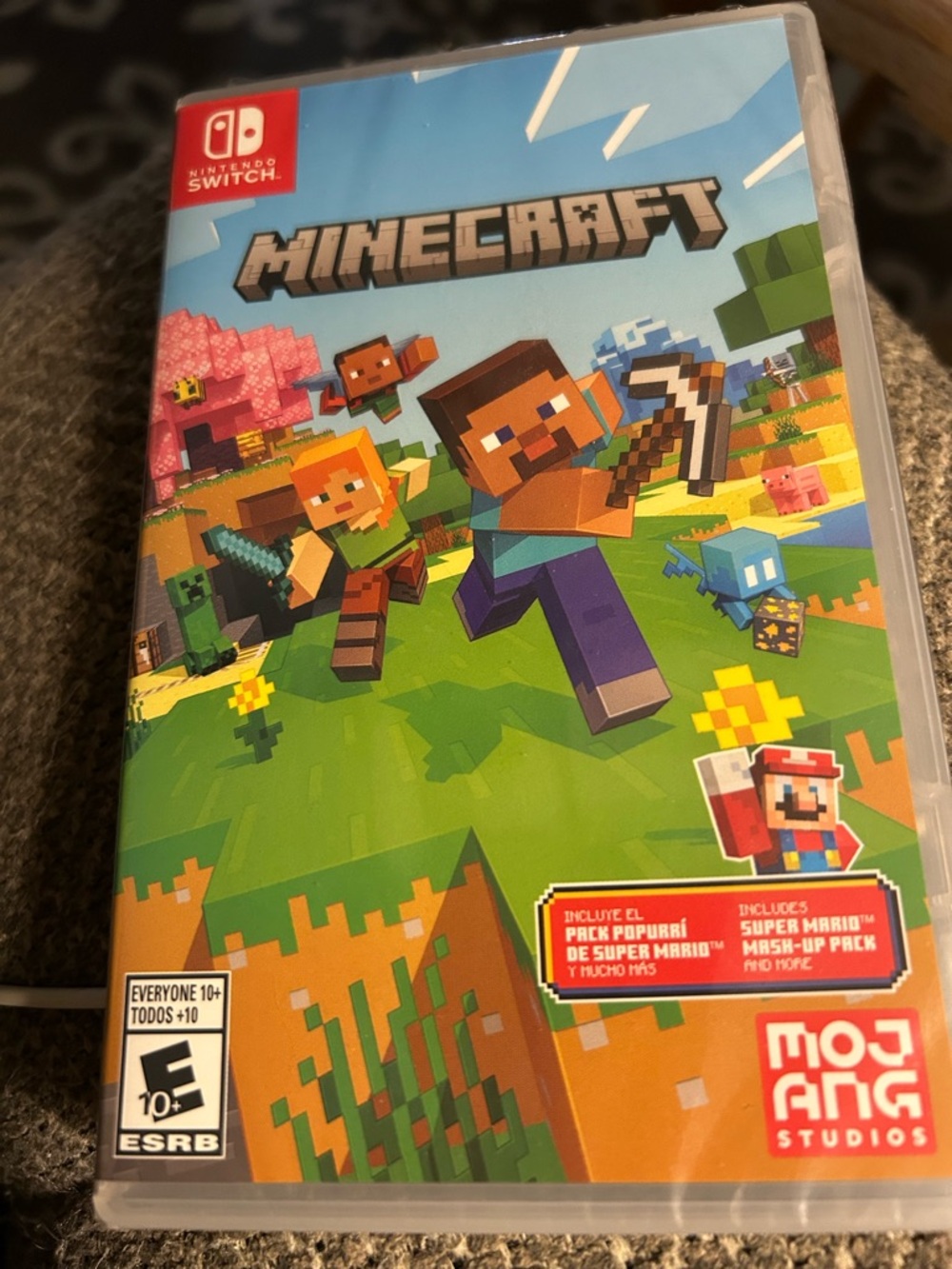 Nintendo Minecraft Game - Blue & Green Cover